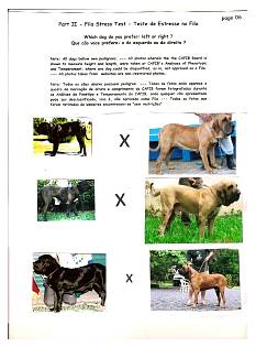 filastresstestpage06.jpg