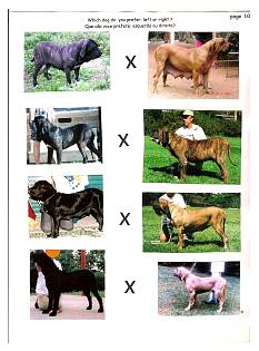 filastresstestpage10.jpg